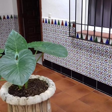 Apartament Patio Pompeyos Kordoba Zewnętrze zdjęcie