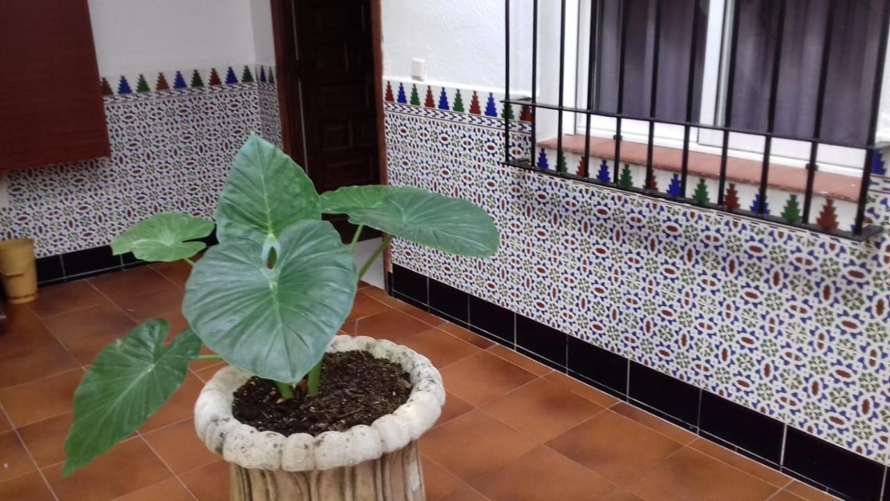 Apartament Patio Pompeyos Kordoba Zewnętrze zdjęcie